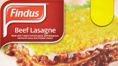 lasagnes findus
